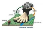Ökológiai lábnyom